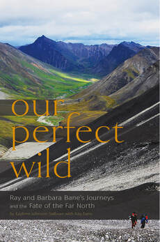 Our Perfect Wild by Kaylene Johnson